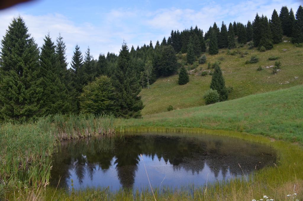 Rifugio Pranolz Hotel Trichiana Kültér fotó