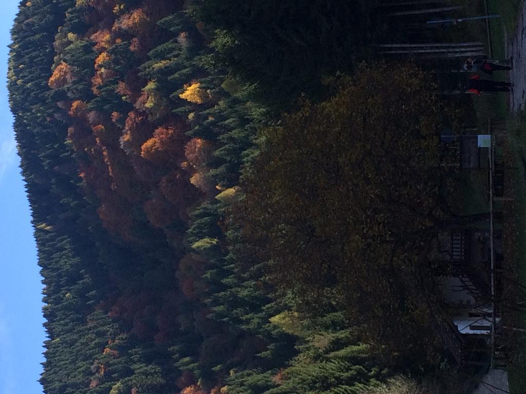 Rifugio Pranolz Hotel Trichiana Kültér fotó