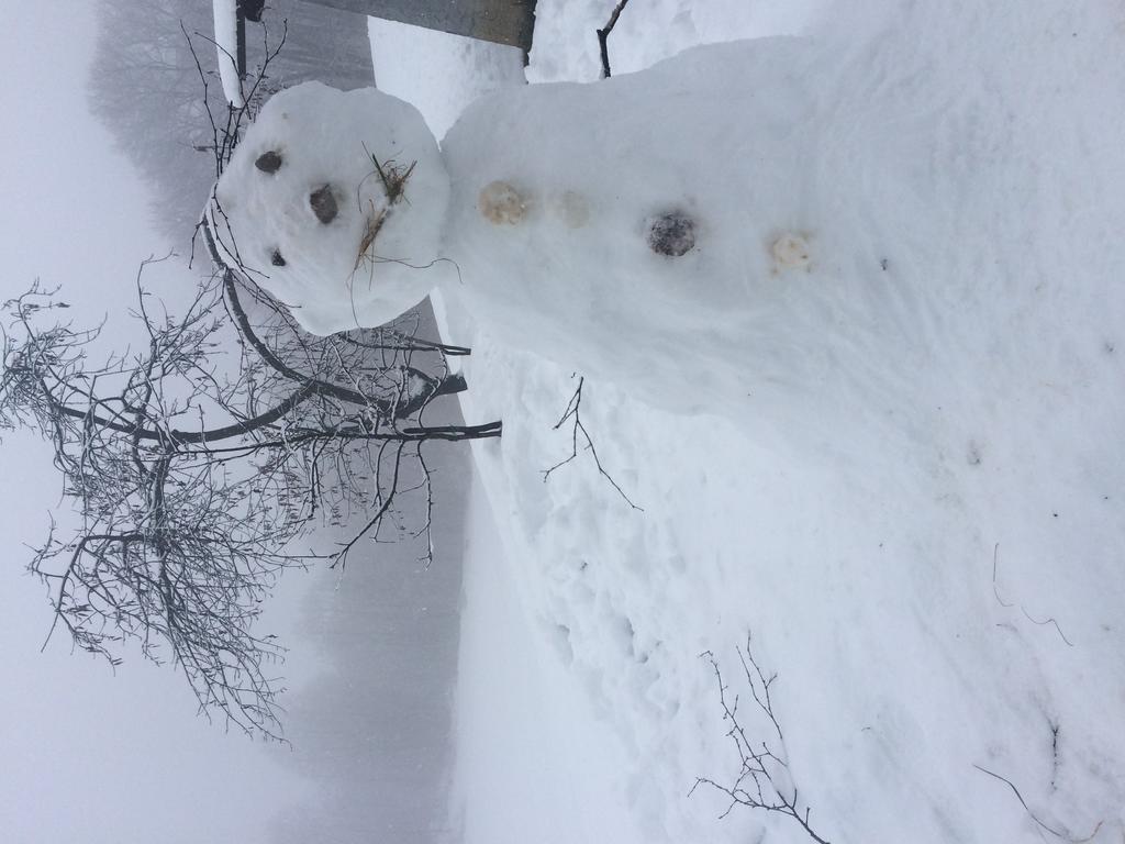 Rifugio Pranolz Hotel Trichiana Kültér fotó